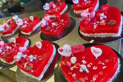 20210212_140855-scaled