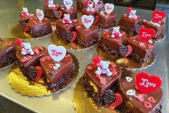 20210212_153601-scaled