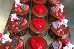 20210212_160034-scaled