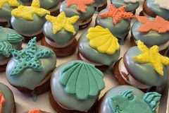 IMG-c2ac0fb219bc96fdb8a5a06506a0c213-V