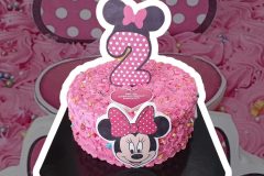 Αντιστοίχιση-φόντου-8