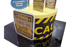 IMG-cde9fe92776179bb83e36ec1f991e489-V