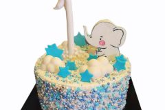 PhotoRoom-20210817_183803