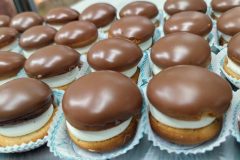 IMG_20241126_1629582