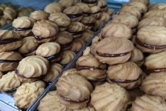 IMG_20241127_161057