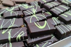 IMG_20241126_1636282