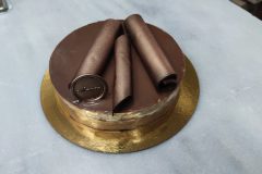 IMG_20241205_135824